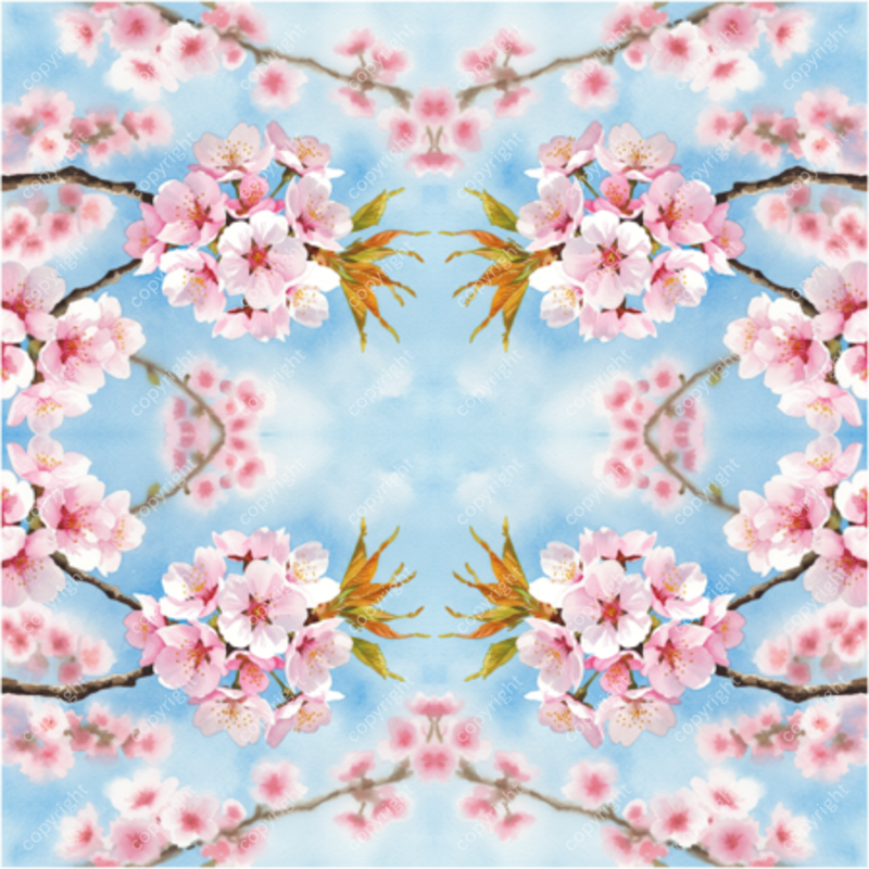 design image