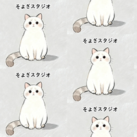 見守り猫のそよぎさん